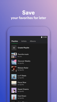 Screenshot of the application Spotify Lite - #4