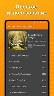 Screenshot of the application Simple player - #3