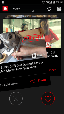 Screenshot of the application 9GAG TV - Best Funny Videos - #3