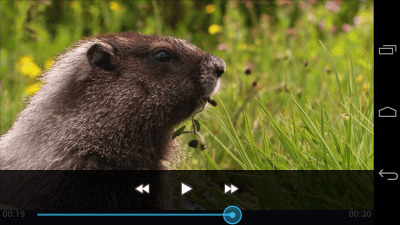 Screenshot of the application Video Player - #3