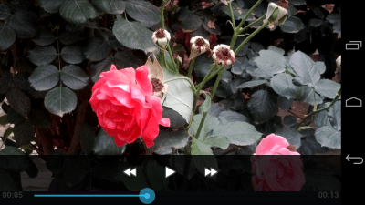 Screenshot of the application Video Player - #4