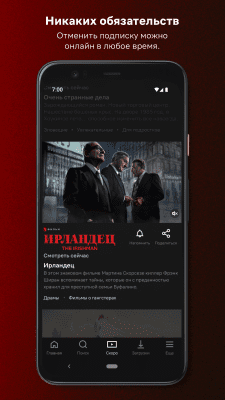 Screenshot of the application Netflix - #5
