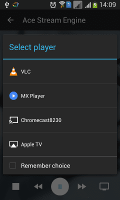 Screenshot of the application Ace Stream Media - #7
