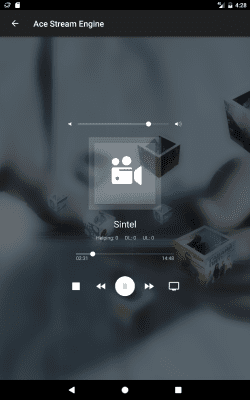 Screenshot of the application Ace Stream Media - #9