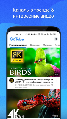 Screenshot of the application GoTube - #3