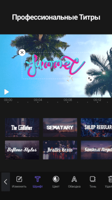 Screenshot of the application VivaCut Video Editor: video editing and processing - #8