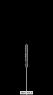 Screenshot of the application Sparkler - Free - #3