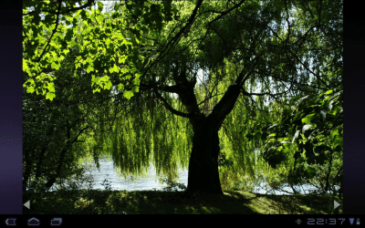 Screenshot of the application nef-Thumbnailer Demo - #6