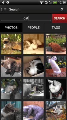 Screenshot of the application Phereo 3D Photo - #5