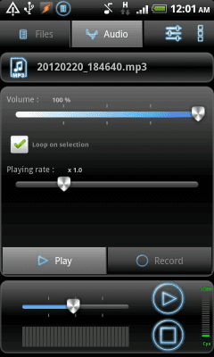 Screenshot of the application RecForge Lite - Audio Recorder - #4