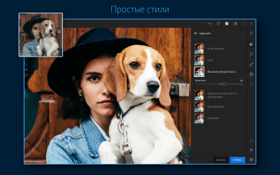 Screenshot of the application Adobe Lightroom - Photo Editor - #10