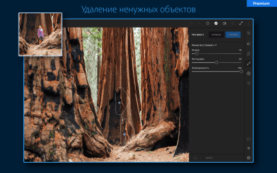 Screenshot of the application Adobe Lightroom - Photo Editor - #14