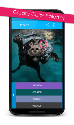 Screenshot of the application Pipette - #3