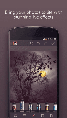 Screenshot of the application Repix - #3