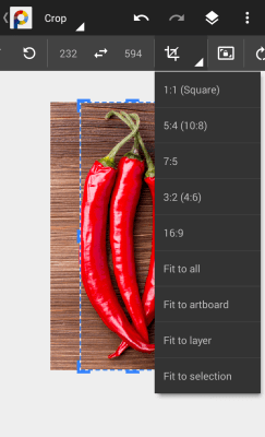 Screenshot of the application PhotoSuite - #8