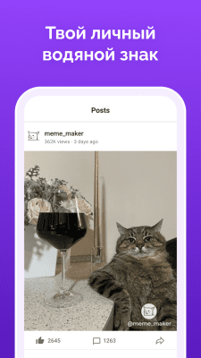 Screenshot of the application Memasic - #4