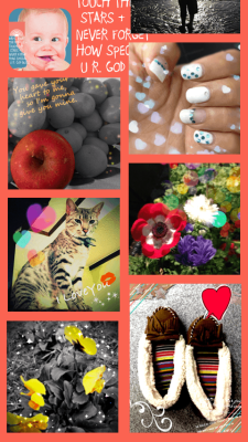 Screenshot of the application PIQNICK - #4