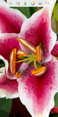 Screenshot of the application Autodesk SketchBook - #5