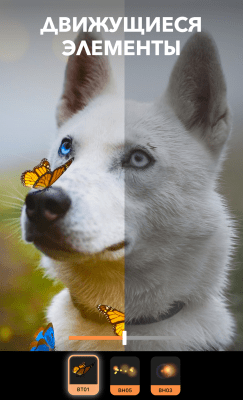 Screenshot of the application Motionleap by Lightricks - #3