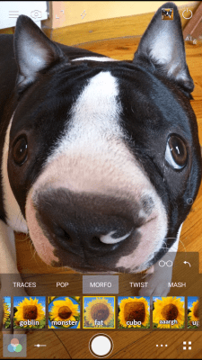 Screenshot of the application Cameringo Lite Effect Camera - #7