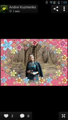 Screenshot of the application Wedding Frames - #5