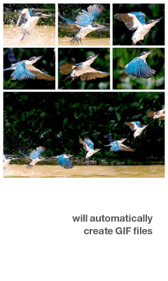 Screenshot of the application Silent Camera - #5