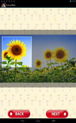 Screenshot of the application Focus Effect - #7