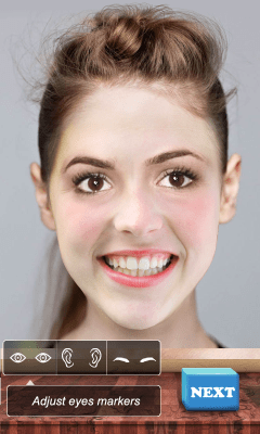 Screenshot of the application Bald Face - #3