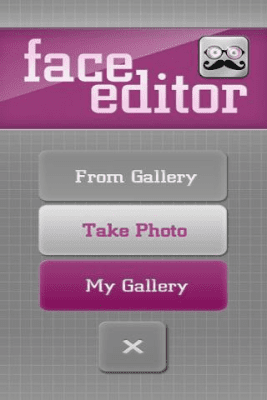 Screenshot of the application Face Editor - #2