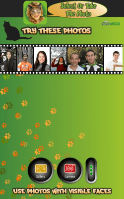 Screenshot of the application Look Like Cat - #4