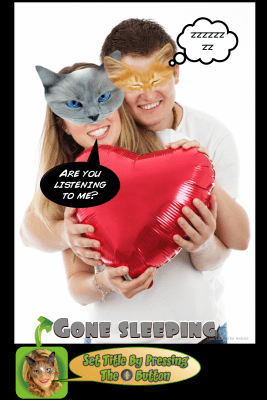 Screenshot of the application Look Like Cat - #10