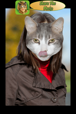 Screenshot of the application Look Like Cat - #11