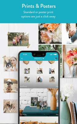 Screenshot of the application Snapfish - #8