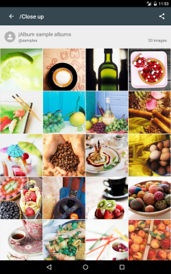 Screenshot of the application jAlbum - #5