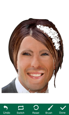 Screenshot of the application Face Switch - #3