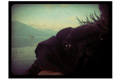 Screenshot of the application Lomo Camera FX - #3