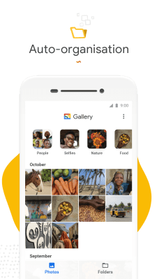 Screenshot of the application Gallery Go from Google Photos - #1