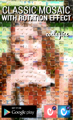 Screenshot of the application Collagics Photo Mosaic - #3