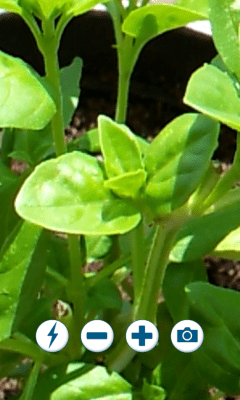 Screenshot of the application camera zoom free - #3