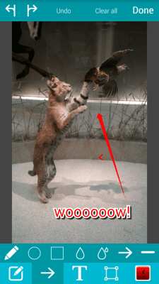 Screenshot of the application Nimbus Clipper - #4