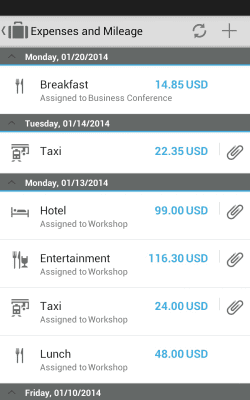 Screenshot of the application SAP Cloud for Travel & Expense - #5