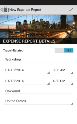 Screenshot of the application SAP Cloud for Travel & Expense - #8