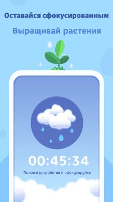 Screenshot of the application Focus Plant - #1