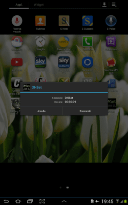 Screenshot of the application DNSet - #9