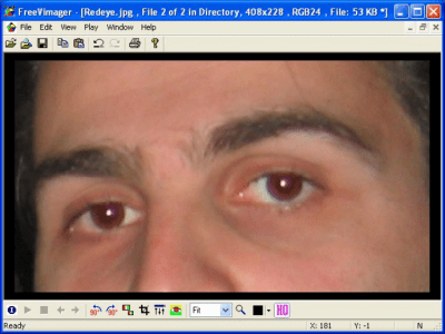 Screenshot of the application FreeVimager - #3