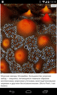 Screenshot of the application Photo news - #8