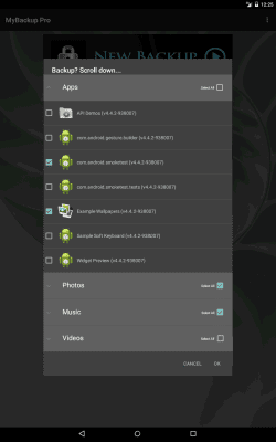 Screenshot of the application My Backup - #16