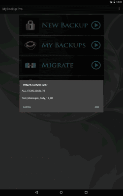 Screenshot of the application My Backup - #18