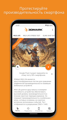 Screenshot of the application 3DMark - #1