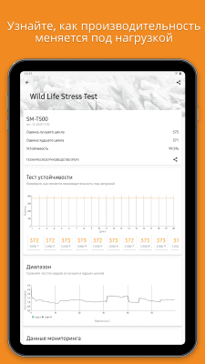 Screenshot of the application 3DMark - #8